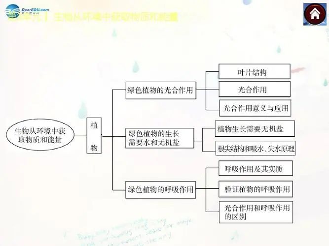 《孙雅俊 中考生物核心考点》所有课程 (超清1080p) 第2张