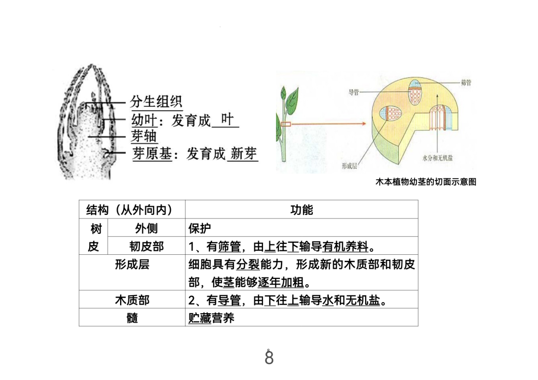 2024年中考生物考前课本重点图片回顾 第8张