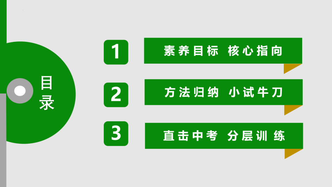 中考语文专题复习——古诗阅读专项复习ppt 第3张