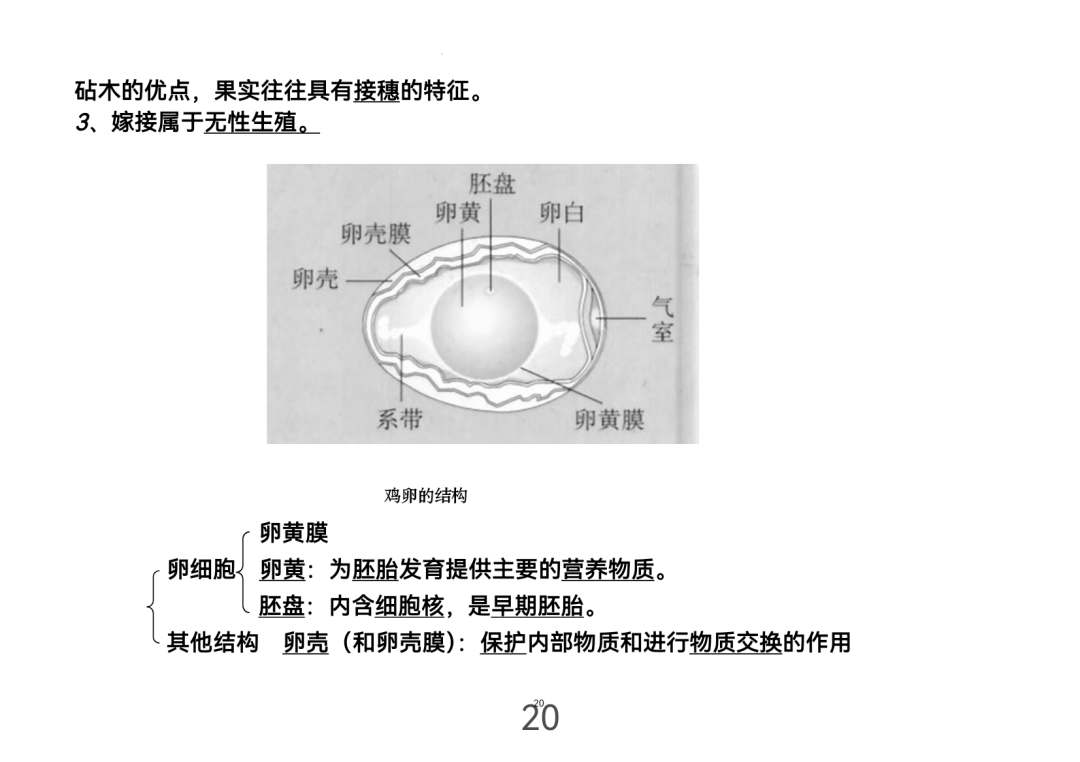 2024年中考生物考前课本重点图片回顾 第21张