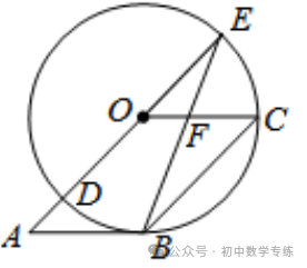 中考数学抢分秘籍---秘籍04 圆的综合 第34张