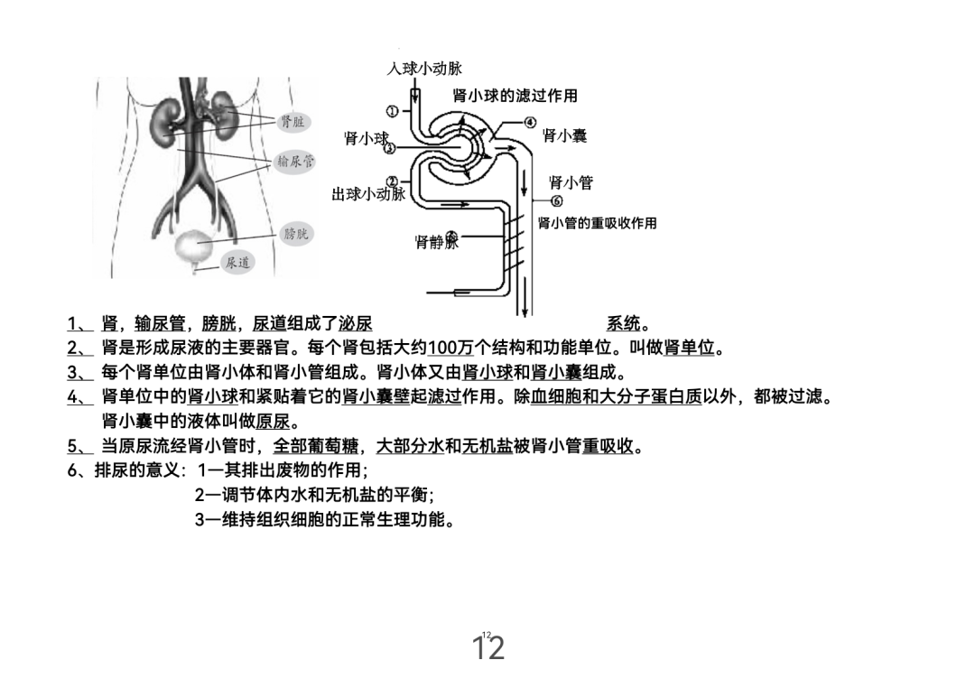 2024年中考生物考前课本重点图片回顾 第12张