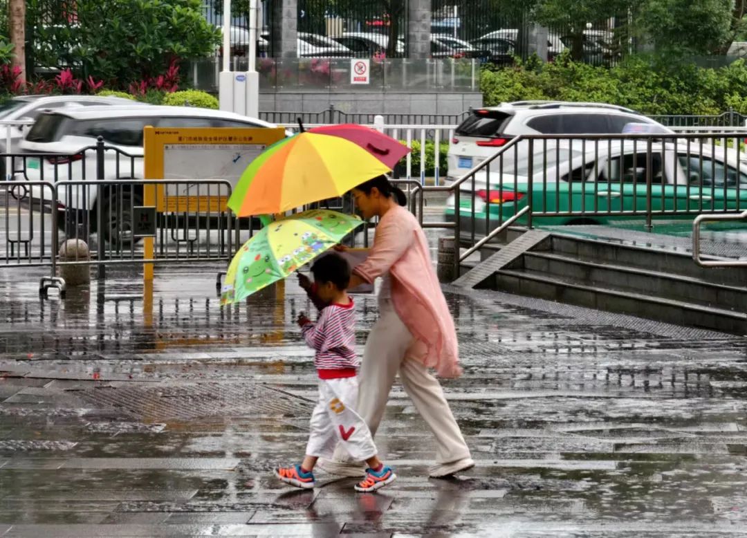 11.8℃!厦门天气大转折!雨又来了!高考期间将…… 第2张