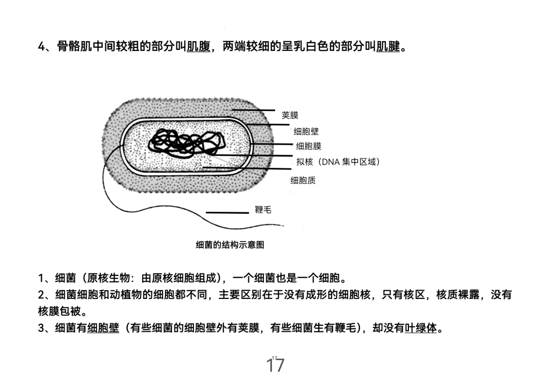 2024年中考生物考前课本重点图片回顾 第17张