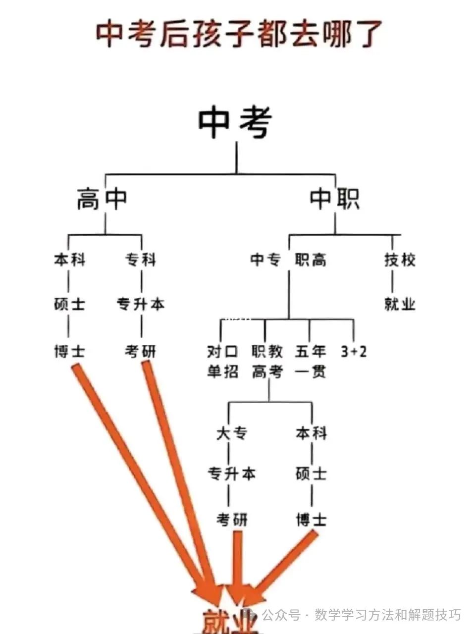 中考分流的误解 第1张