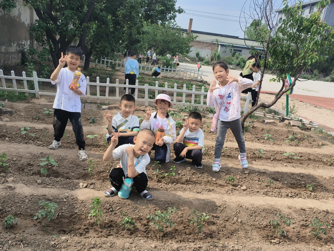 【西苑园动态】走进小学校园  科学幼小衔接 ——榆次七幼教育集团西苑园大班幼儿走进小学 第10张