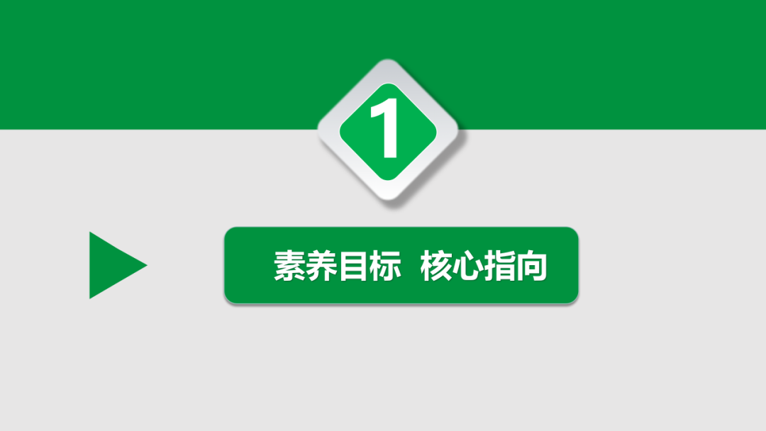 中考语文专题复习——古诗阅读专项复习ppt 第4张