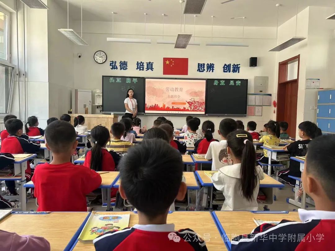 劳动的你最美——新华中学附属小学开展劳动月系列活动 第12张