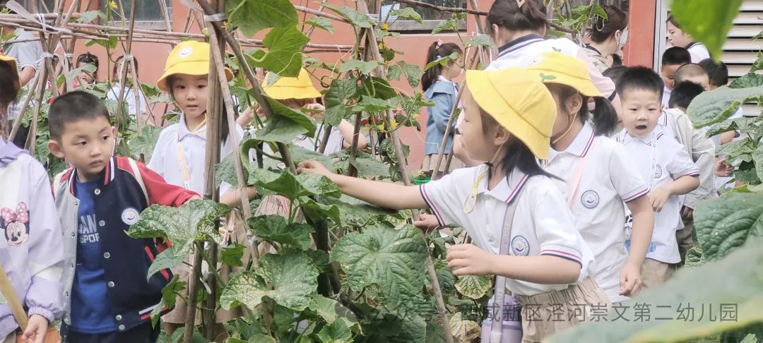 【幼小衔接】走进小学,感悟成长——西咸新区泾河崇文第二幼儿园走进小学活动纪实 第24张