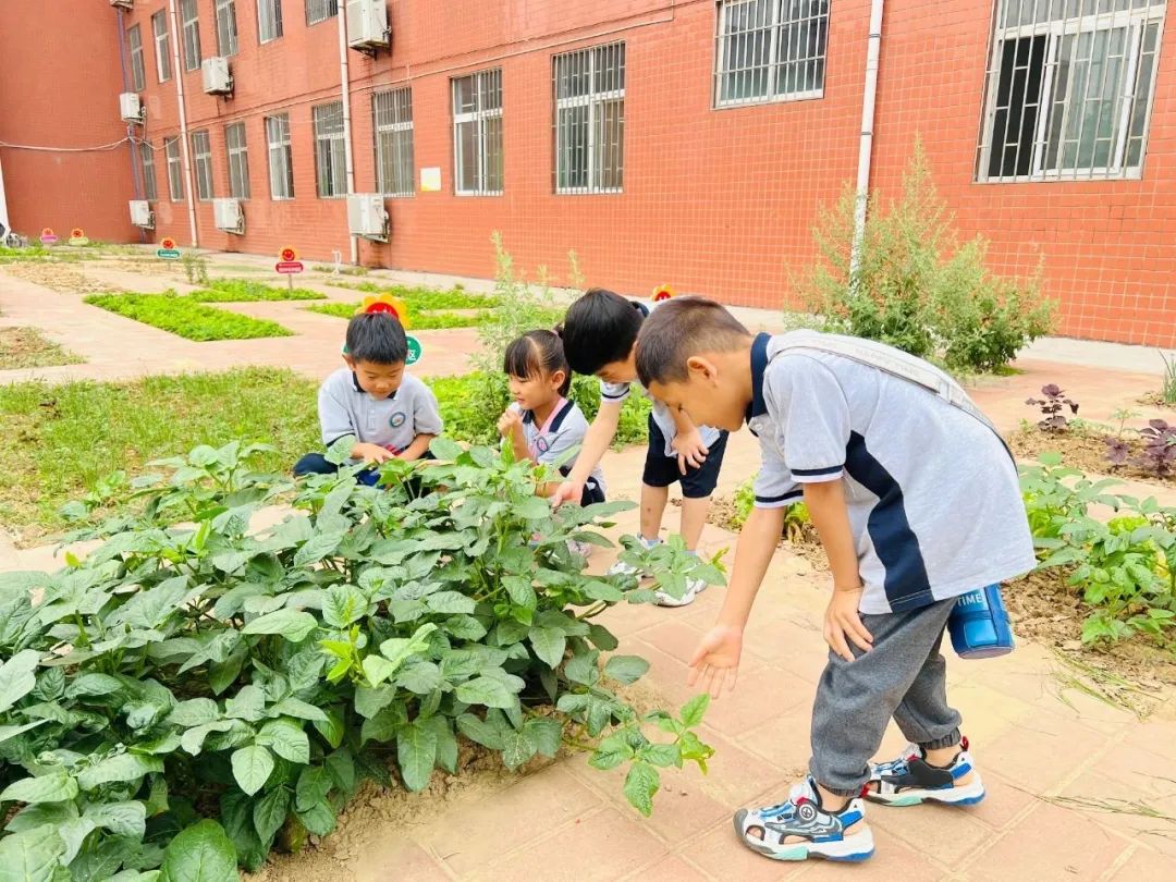 【三标三实】“幼”遇小学,礼遇成长—上街区实验幼儿园幼小衔接之参观小学 第32张