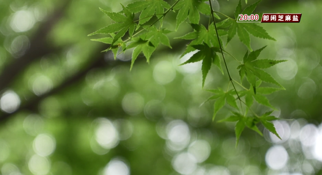 雷雨+38℃高温……高考天气出炉! 第3张