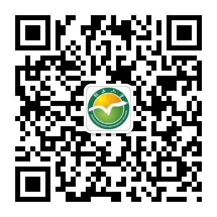 激发智慧之光,点亮思维之旅  —— 梅山小学四年级数学素养月活动纪实 第52张