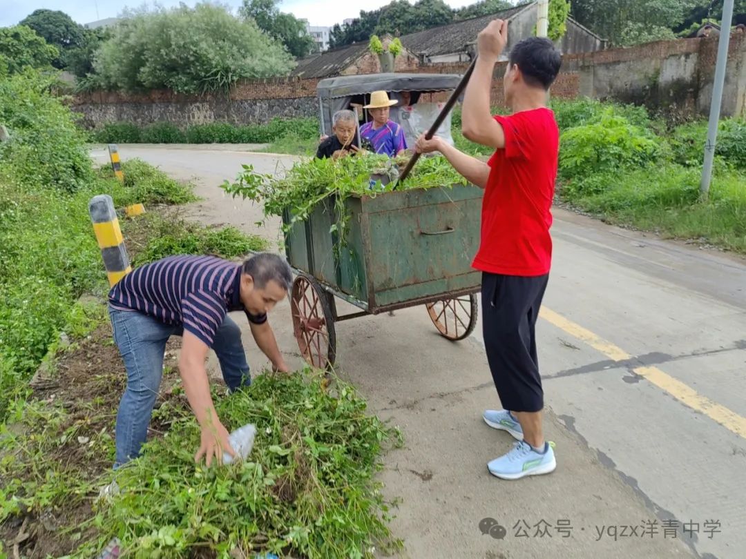 铲草护绿,清道助中考 第16张