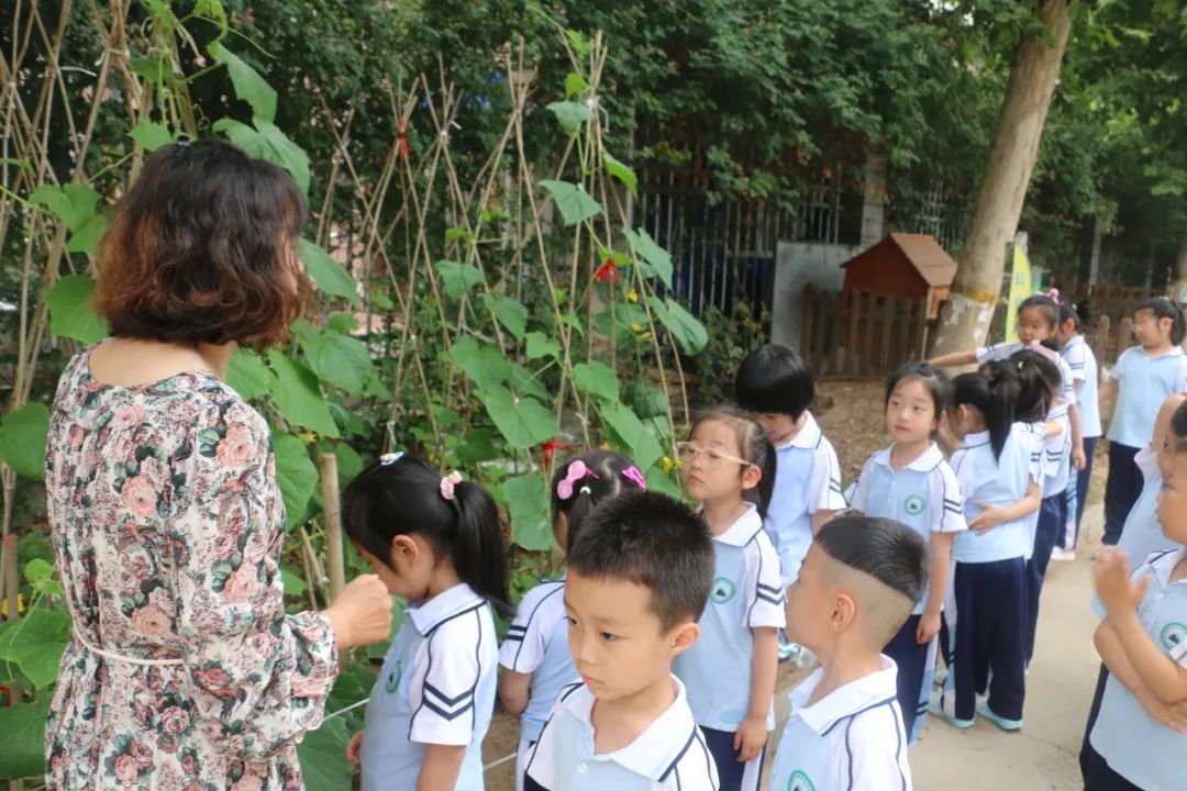 礼遇小学  筑梦成长——丰润区迎宾路幼儿园参观小学活动 第12张