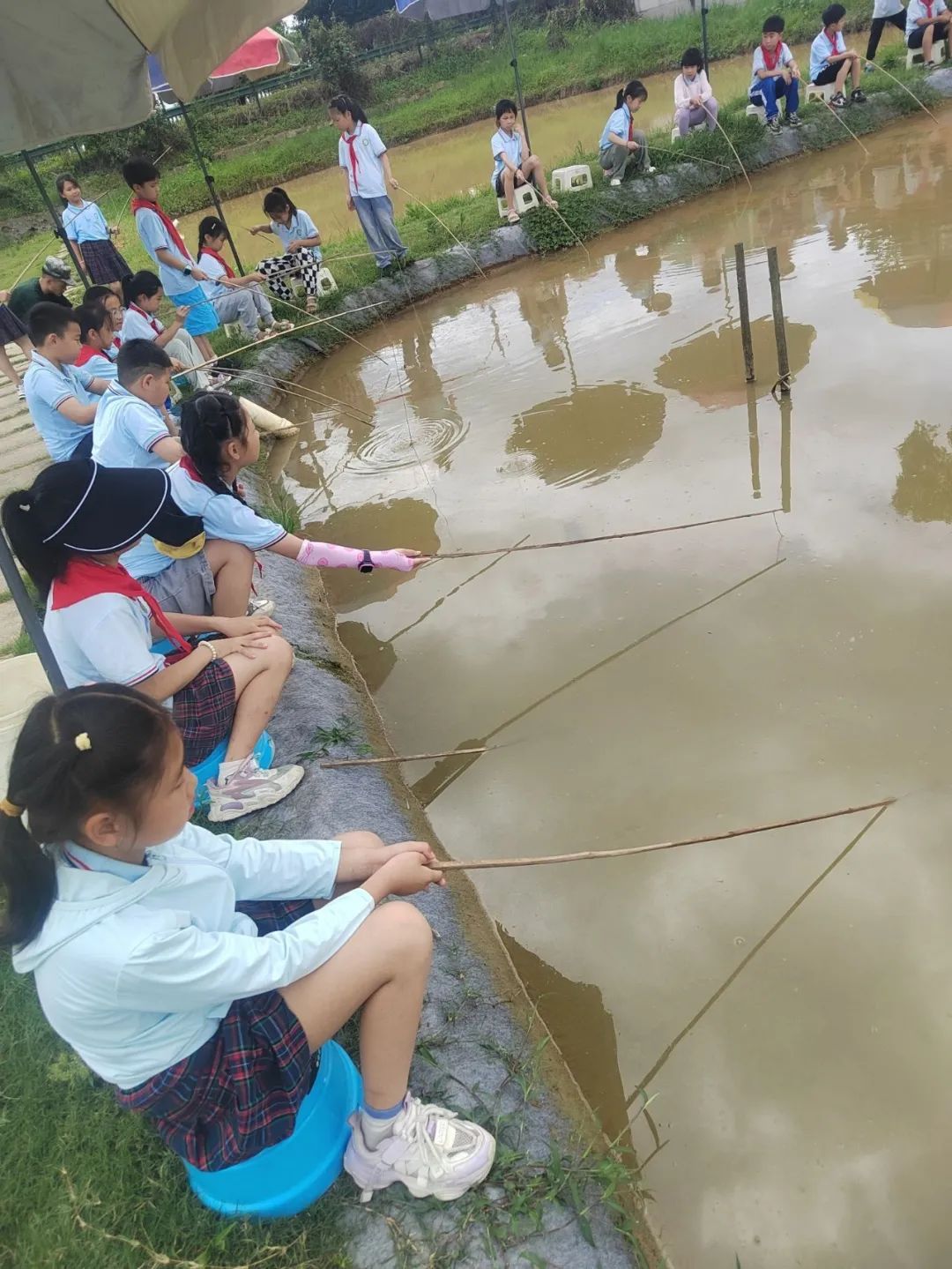 花园小学“国歌嘹亮 耕读童年”——庆六一•红领巾爱祖国研学实践活动 第72张