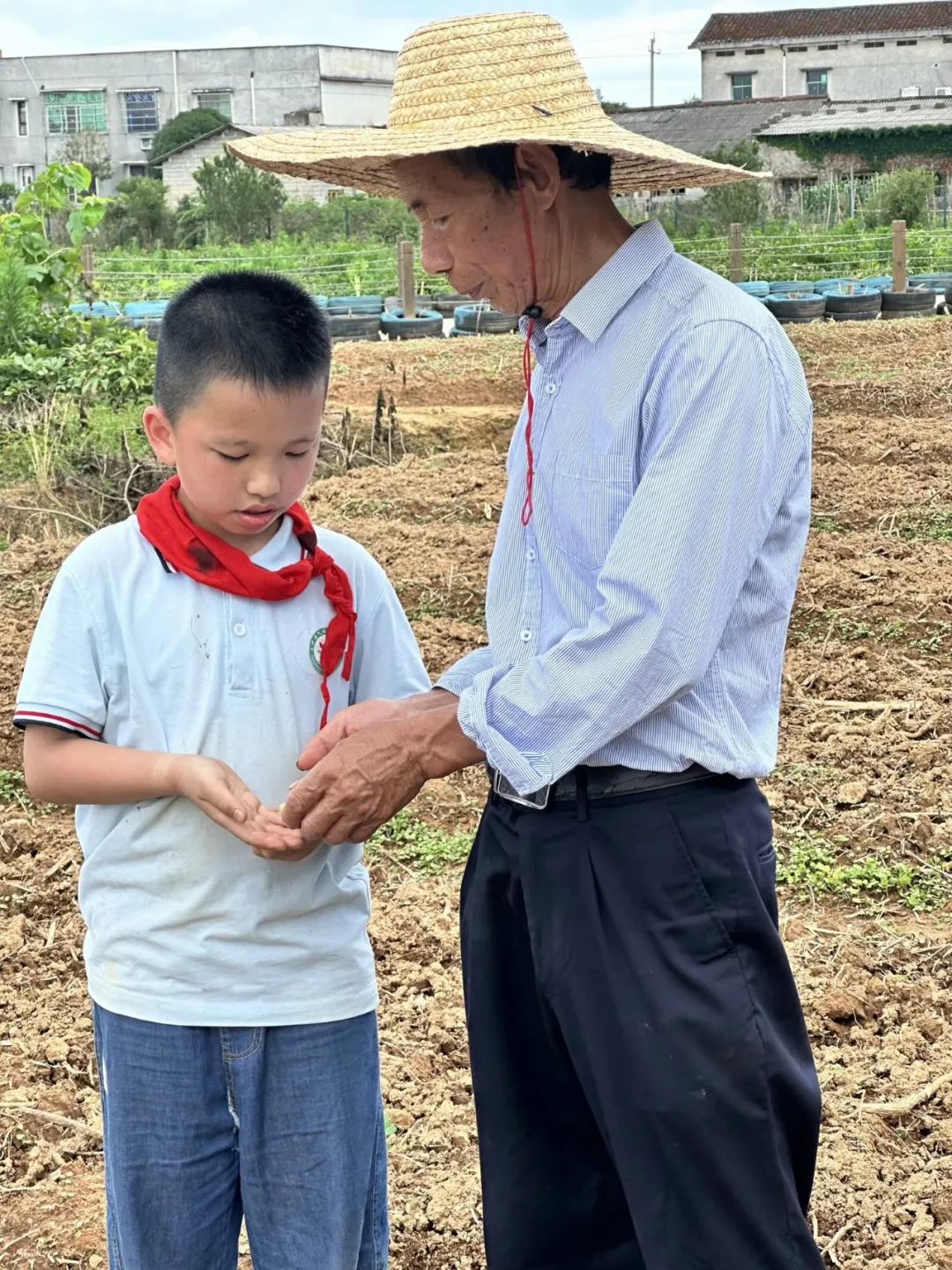 花园小学“国歌嘹亮 耕读童年”——庆六一•红领巾爱祖国研学实践活动 第57张