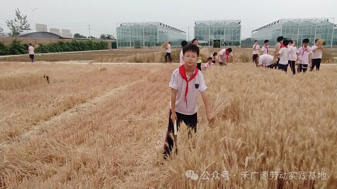 “芒”有所获,“种”有所得——科奥小学五年级劳动实践活动 第11张