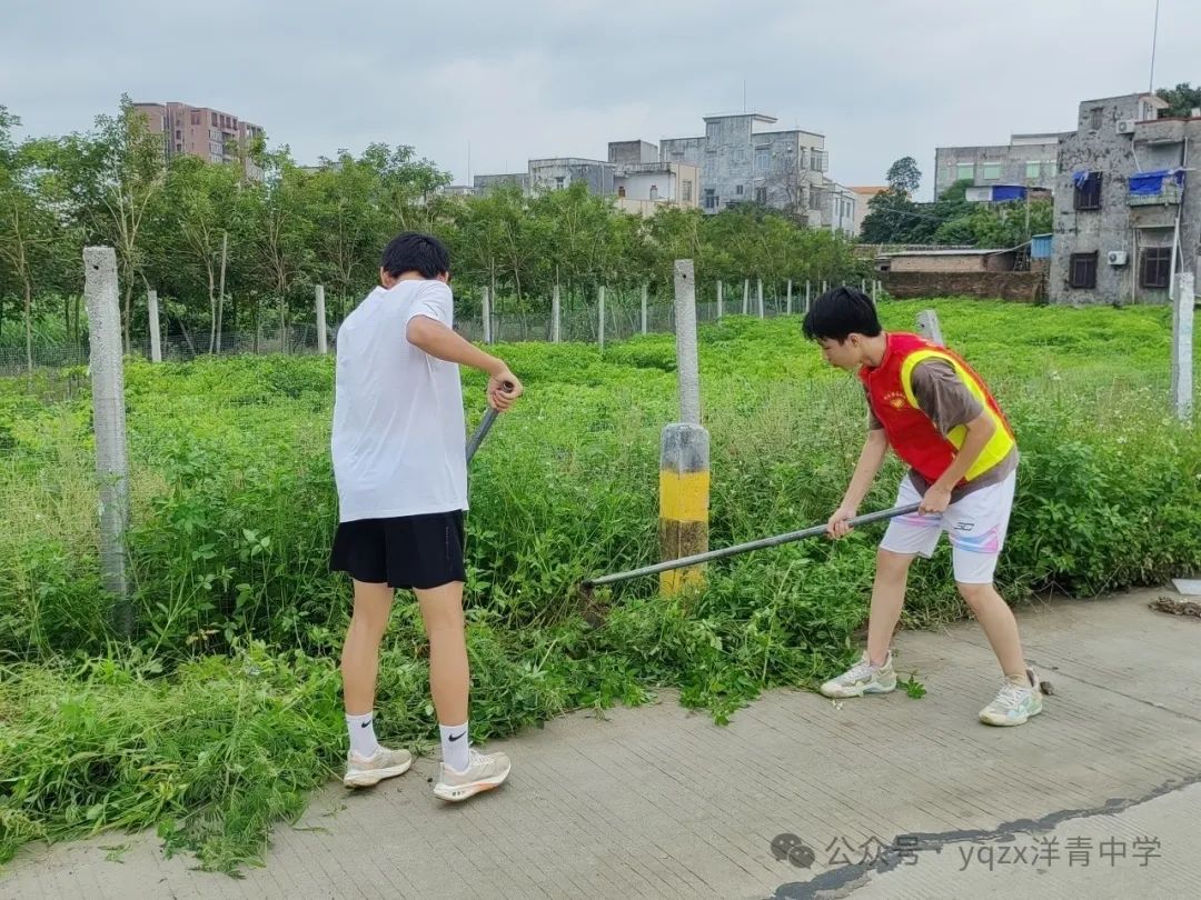 铲草护绿,清道助中考 第14张