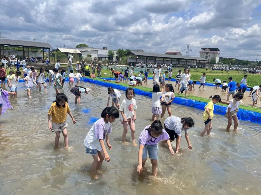 花园小学“国歌嘹亮 耕读童年”——庆六一•红领巾爱祖国研学实践活动 第77张