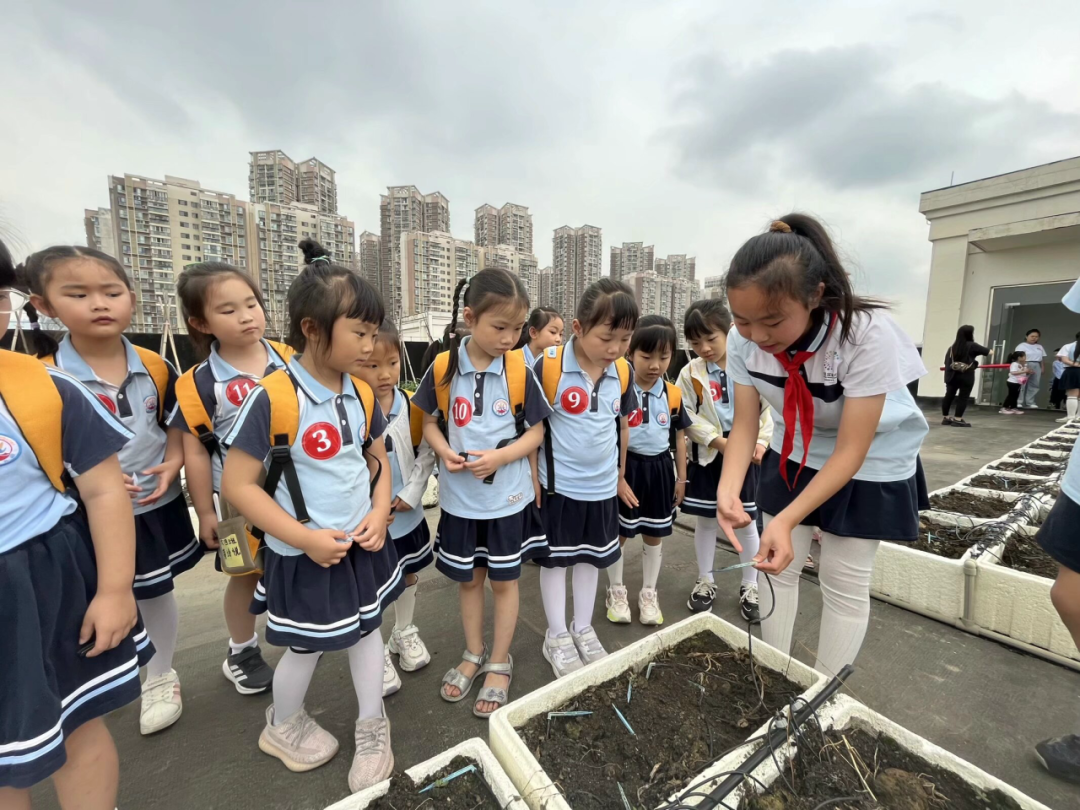 【园级动态】初探小学  期望成长——红岭幼儿园大班组参观小学活动纪实 第44张