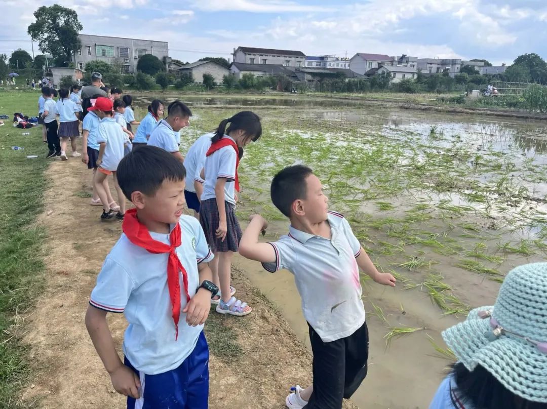 花园小学“国歌嘹亮 耕读童年”——庆六一•红领巾爱祖国研学实践活动 第79张