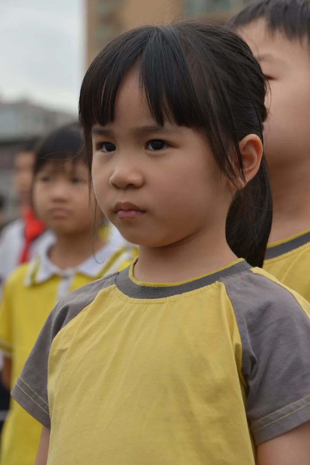 趣探小学,幼见成长 第42张