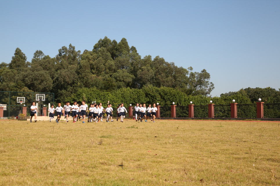 预告!6月5日,华师附属大学城小学举行广州市中小学第二次人工智能跨学科教学研讨活动 第8张