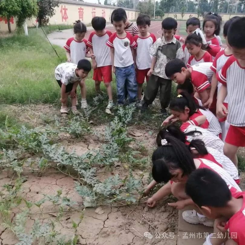 亲爱的小学,我来啦!——孟州市第二幼儿园参观小学活动 第67张