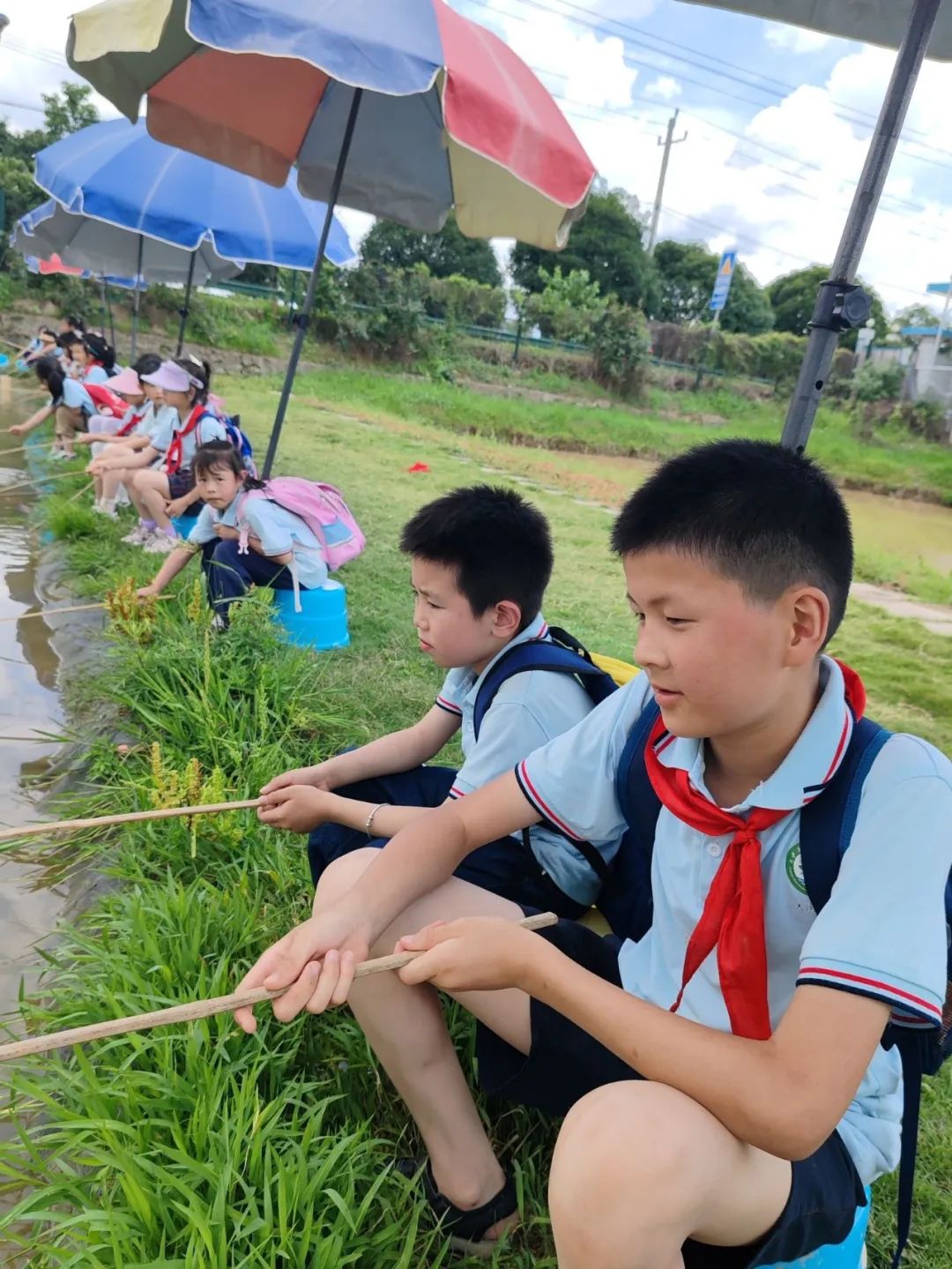 花园小学“国歌嘹亮 耕读童年”——庆六一•红领巾爱祖国研学实践活动 第67张