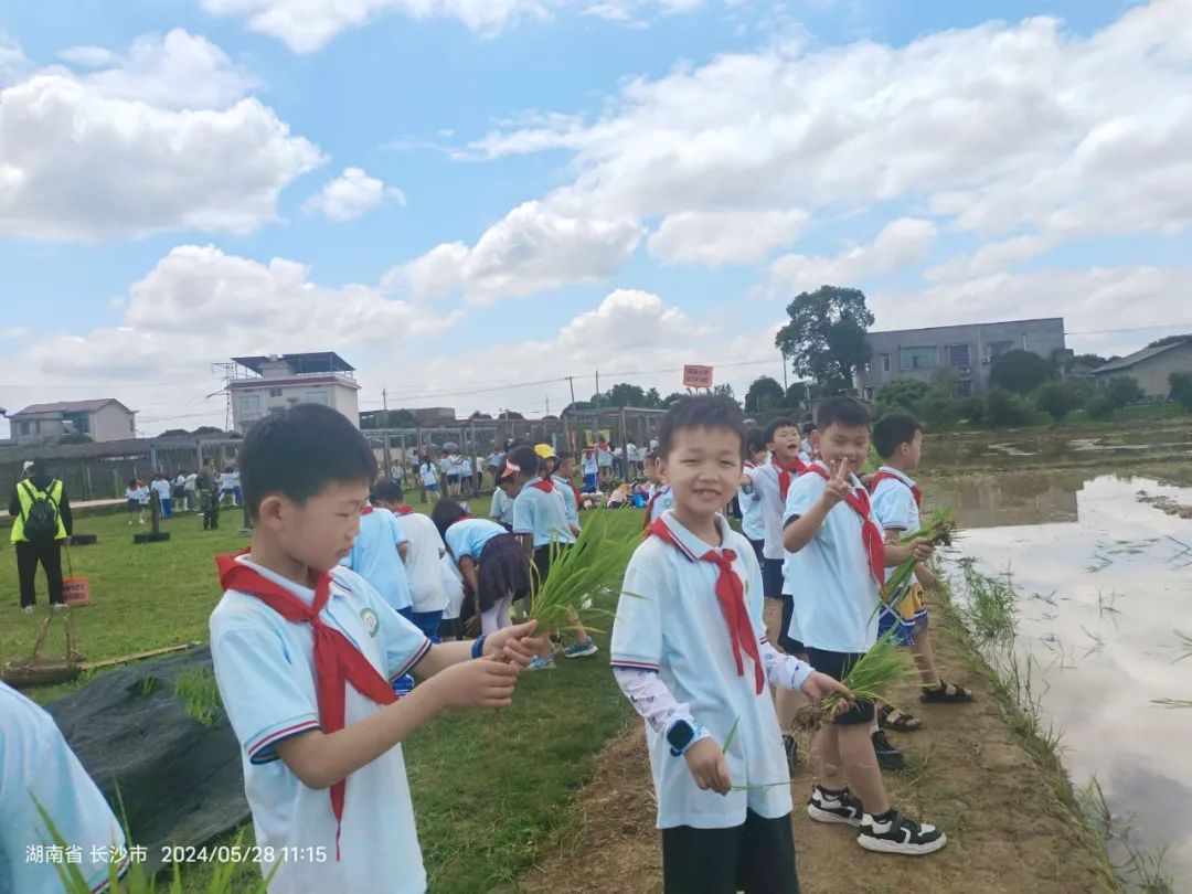 花园小学“国歌嘹亮 耕读童年”——庆六一•红领巾爱祖国研学实践活动 第76张