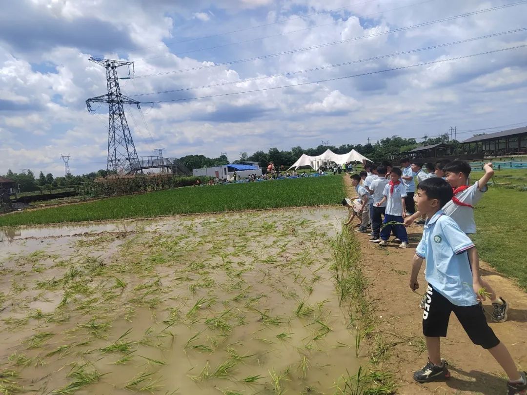 花园小学“国歌嘹亮 耕读童年”——庆六一•红领巾爱祖国研学实践活动 第48张