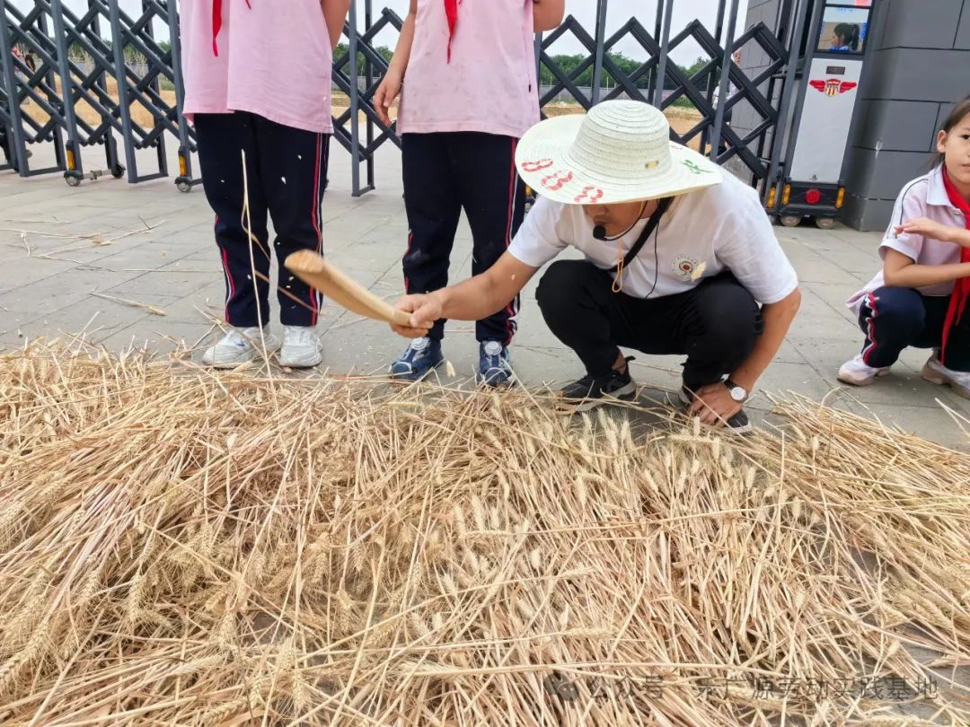 “芒”有所获,“种”有所得——科奥小学五年级劳动实践活动 第30张