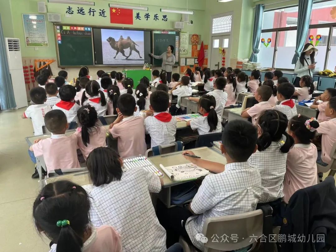 再进小学,亲身体验——鹏城幼儿园大班第二次参观小学活动 第38张