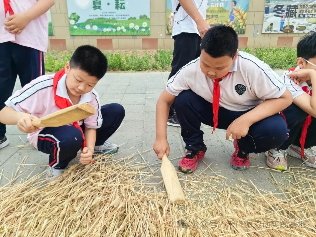 “芒”有所获,“种”有所得——科奥小学五年级劳动实践活动 第24张