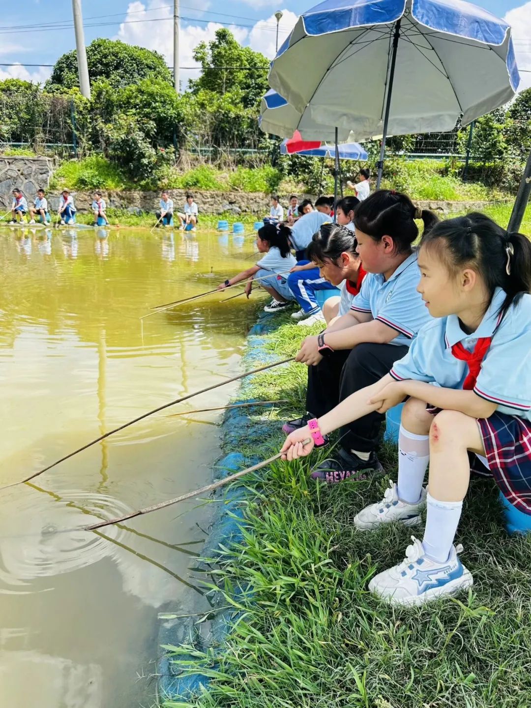 花园小学“国歌嘹亮 耕读童年”——庆六一•红领巾爱祖国研学实践活动 第69张