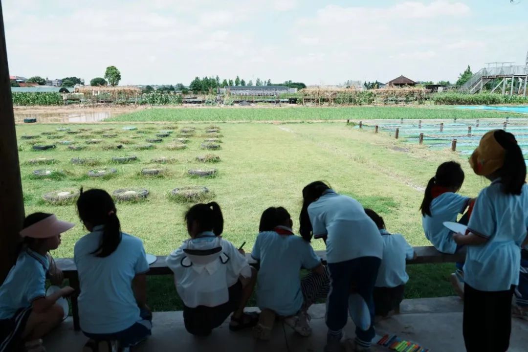 花园小学“国歌嘹亮 耕读童年”——庆六一•红领巾爱祖国研学实践活动 第126张