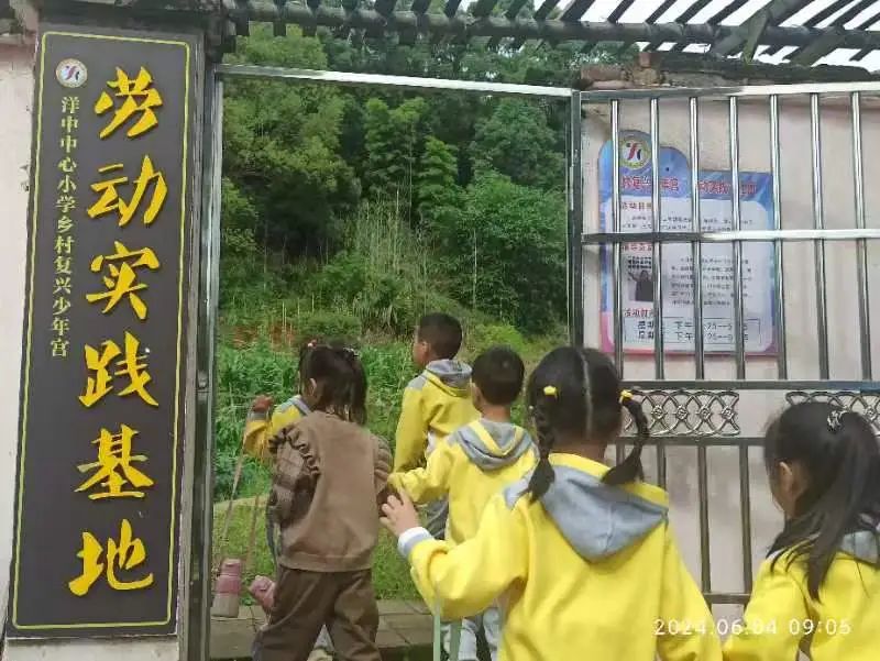 初探小学  “幼”见成长 第15张