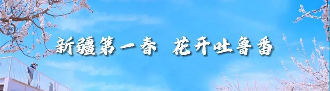 托克逊县召开高考、中考准备 工作安排部署会议 第2张