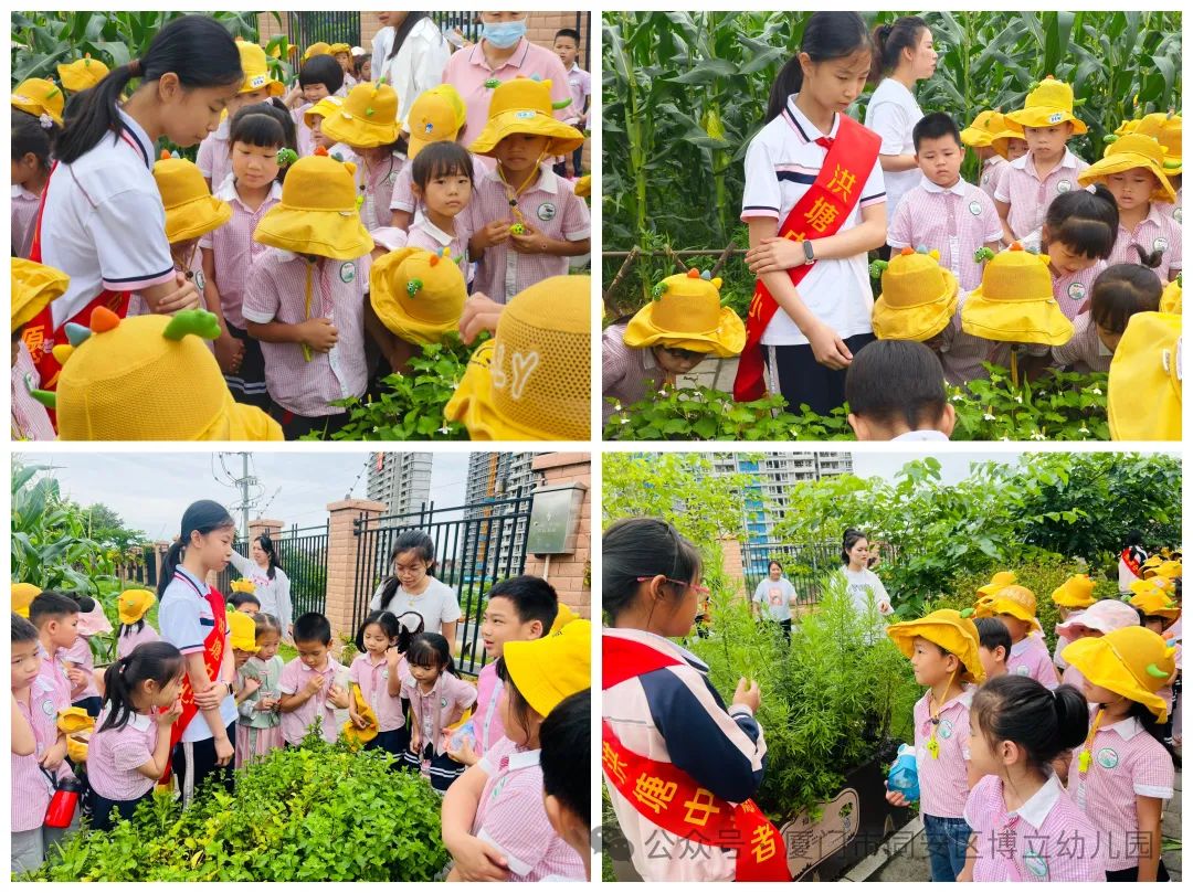 【幼小衔接】初夏遇见,你好小学——幼小衔接系列活动 第30张