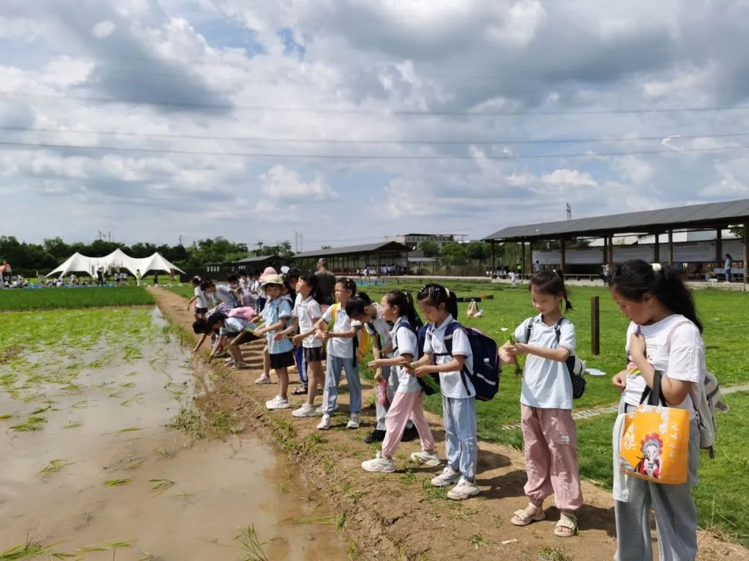 花园小学“国歌嘹亮 耕读童年”——庆六一•红领巾爱祖国研学实践活动 第51张