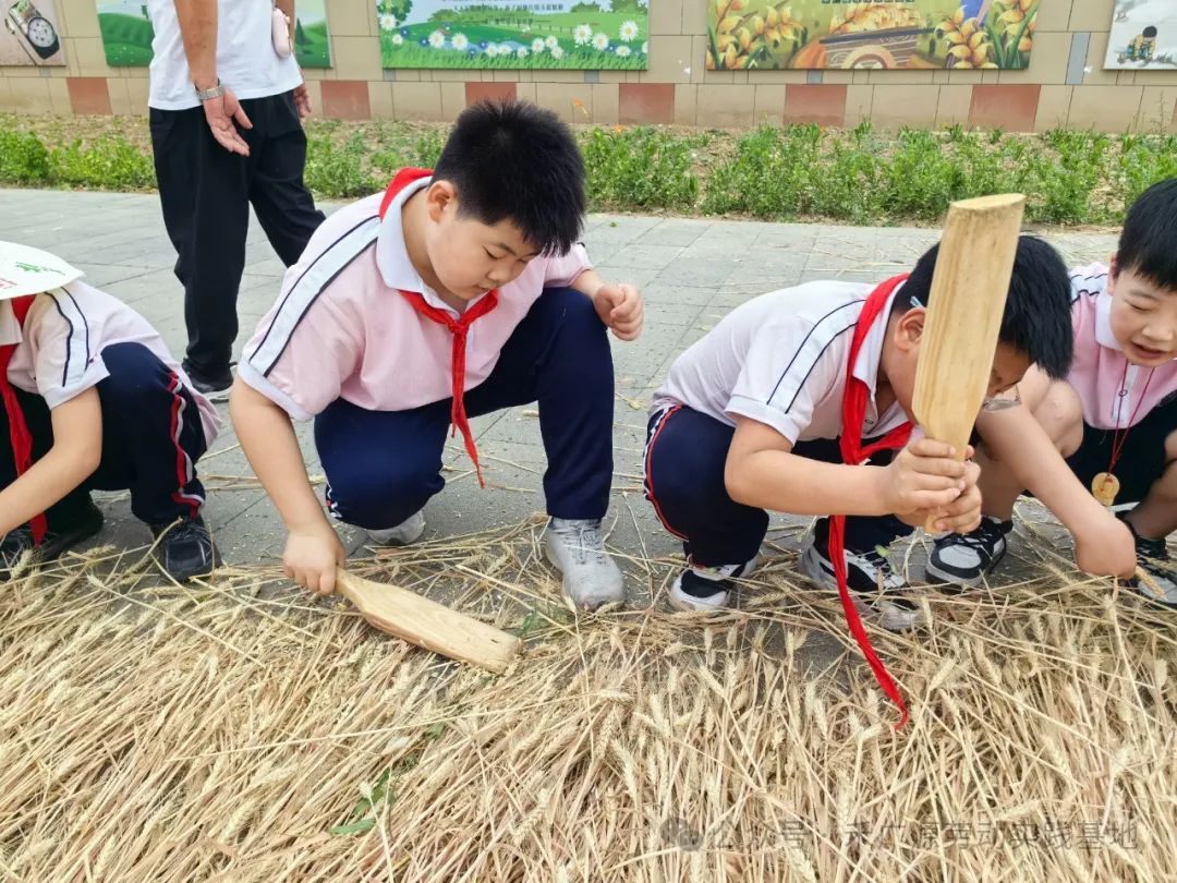 “芒”有所获,“种”有所得——科奥小学五年级劳动实践活动 第29张