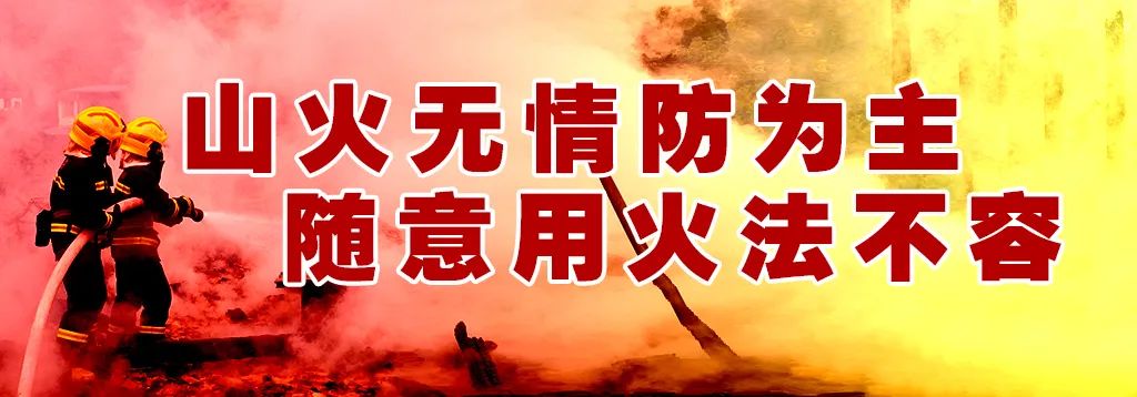 【关注高考】速看!2024年高考期间天气预报来了! 第4张