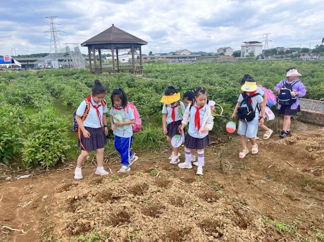 花园小学“国歌嘹亮 耕读童年”——庆六一•红领巾爱祖国研学实践活动 第80张