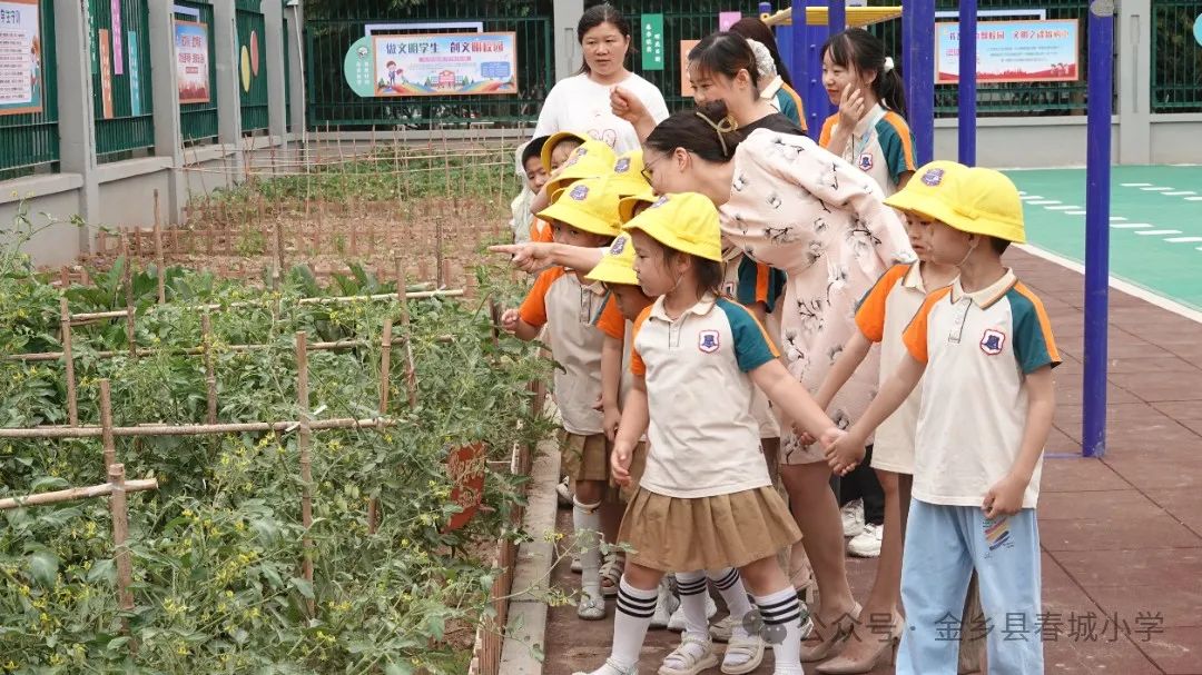 【春晖小学】​小学零距离  成长初体验——小幼衔接参观体验活动 第8张