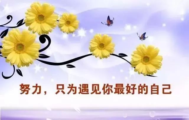 还有15天:中考最后冲刺 第4张