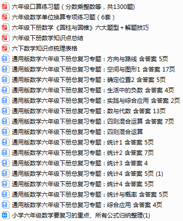 小学数学《期末专项复习资料包》6年级下册 第4张