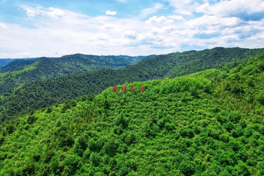 高考解压之旅,端午浓情之约~ 第4张