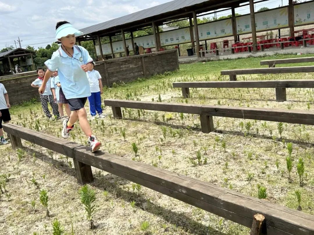 花园小学“国歌嘹亮 耕读童年”——庆六一•红领巾爱祖国研学实践活动 第92张