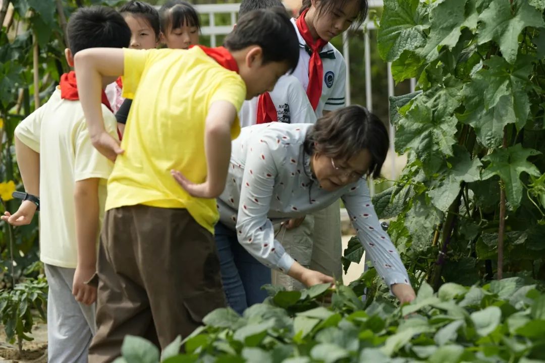 悦动田园  品味快乐——高安中心小学第二届校园美食节 第12张