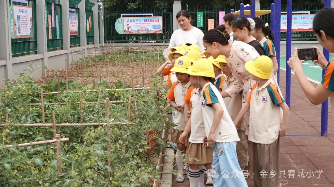 【春晖小学】​小学零距离  成长初体验——小幼衔接参观体验活动 第7张